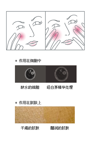 syrfs_醒润激泽水精华霜